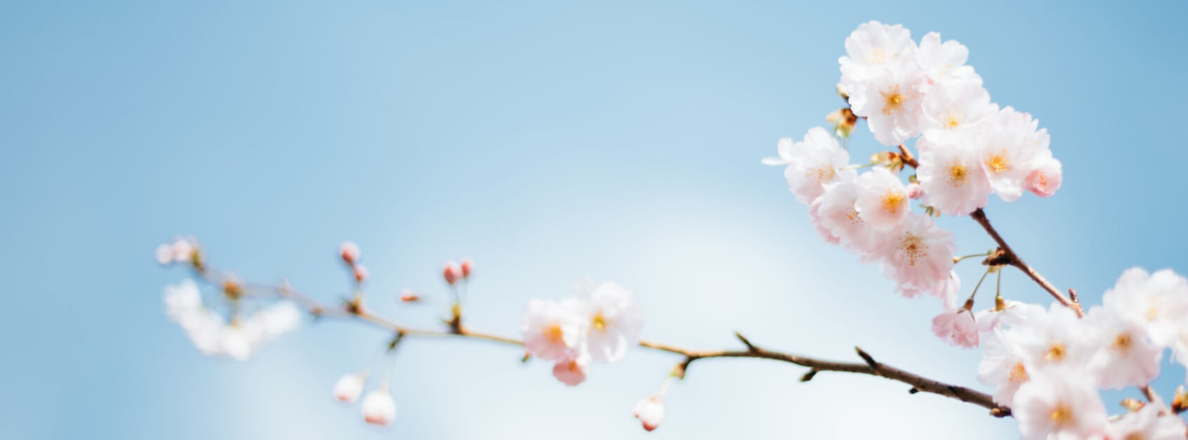 恨洁